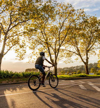 Pedaling Towards Sustainability: The Environmental Impact of Bicycling